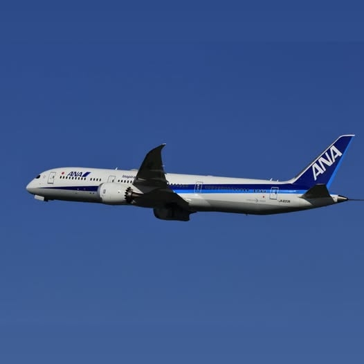 日本全日空航班。 示意圖/ANA FB 日本全日空航班。 示意圖/ANA FB