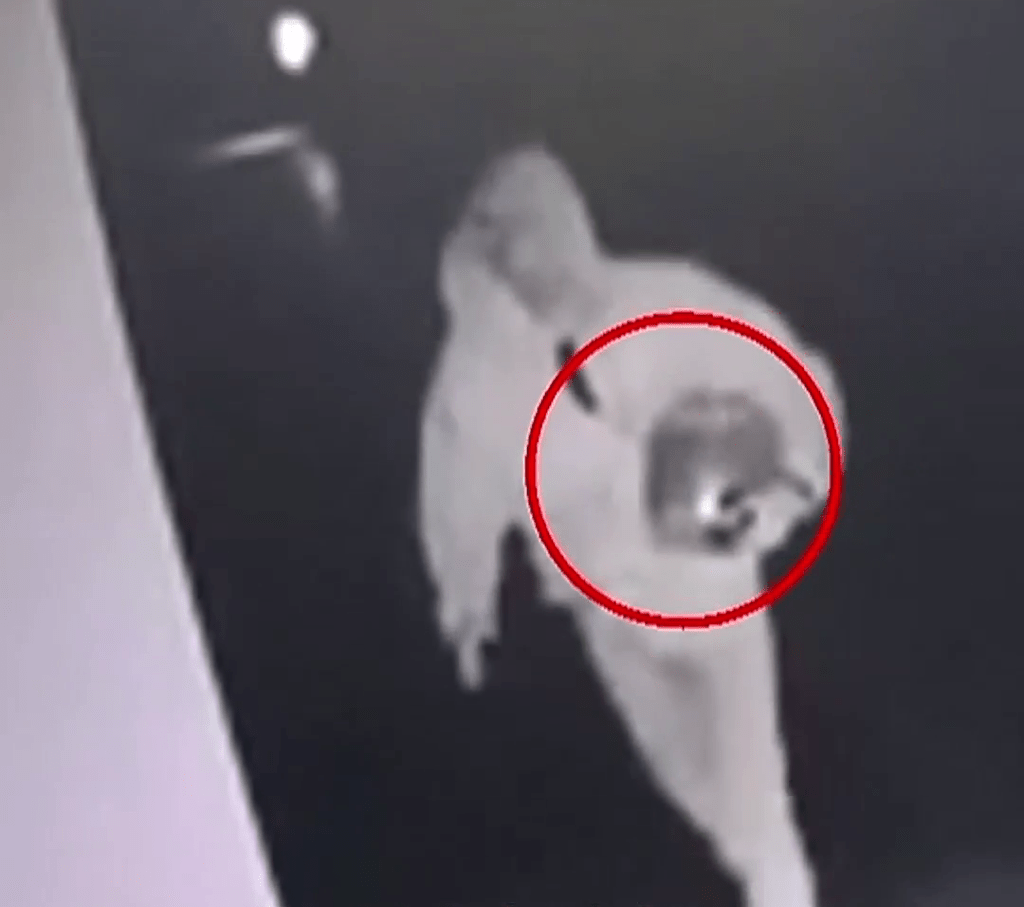 閉路電視，發現1名男子進入納骨塔樓拿走骨灰盅的身影。