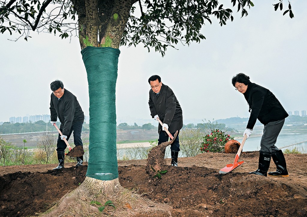 只有（左起）王炯、袁家軍、程麗華參加植樹。