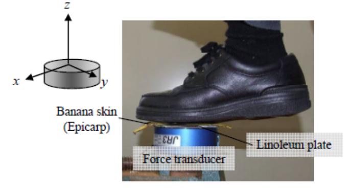 （图五）研究报告〈Frictional Coefficient under Banana Skin〉中实验装置的示范图。