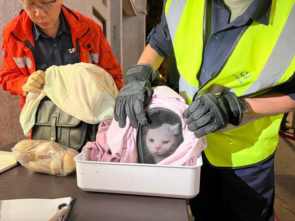 愛協共協助消防處理過136隻生還動物，及45隻已離世的動物。愛協提供圖片