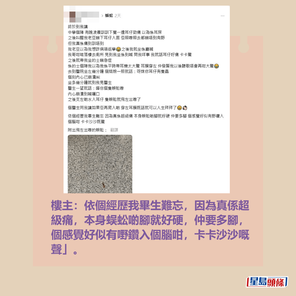 樓主:依個經歷我畢生難忘,因為真係超 級痛,本身蜈蚣啲腳就好硬,仲要多腳, 個感覺好似有嘢鑽入個腦咁,卡卡沙沙嘅 聲」。Threads截圖 樓主:依個經歷我畢生難忘,因為真係超 級痛,本身蜈蚣啲腳就好硬,仲要多腳, 個感覺好似有嘢鑽入個腦咁,卡卡沙沙嘅 聲」。Threads截圖