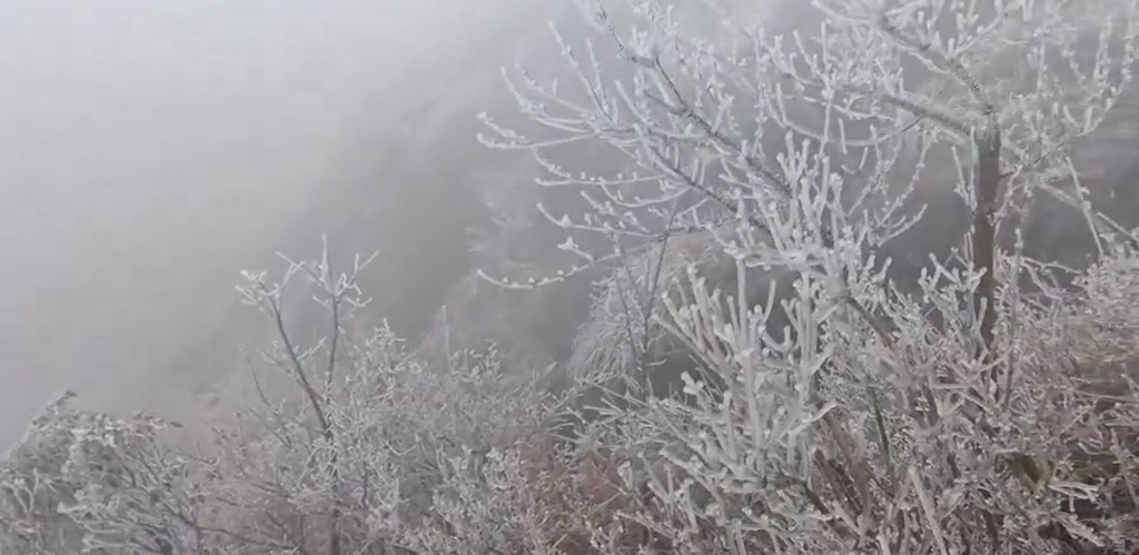 广东清远今早迎来今年首场雪。影片截图