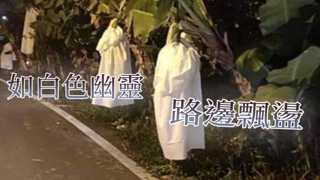 乍看如穿一排白衣「幽靈」在路邊飄盪。爆廢公社fb