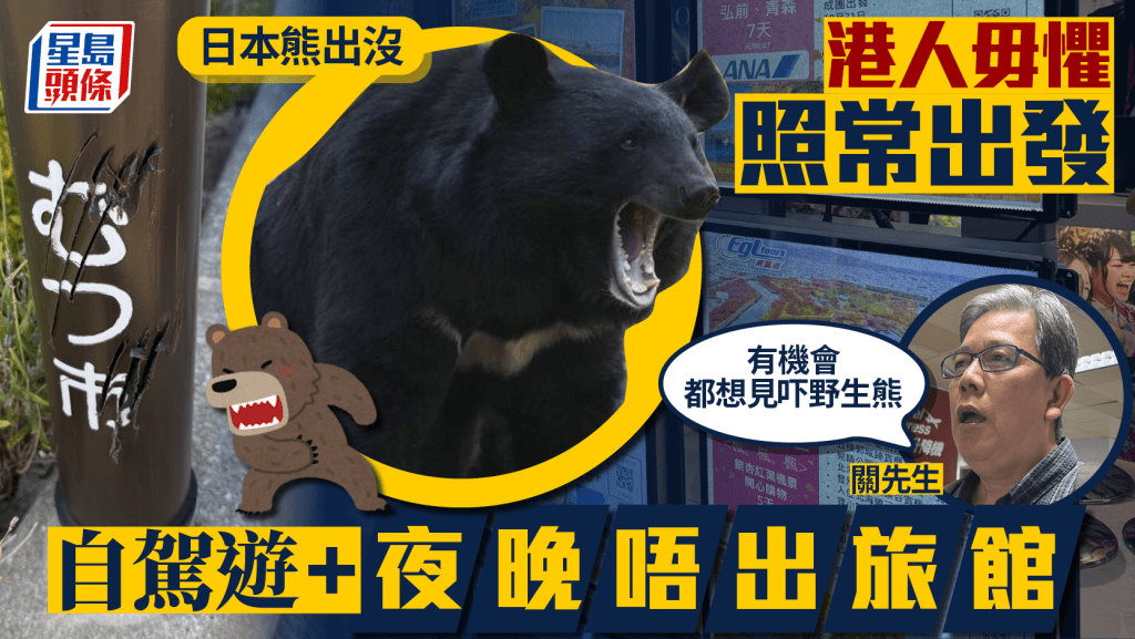 日本熊出沒︱港人毋懼照常出發 指自駕遊較安全：有機會都想見吓野生熊