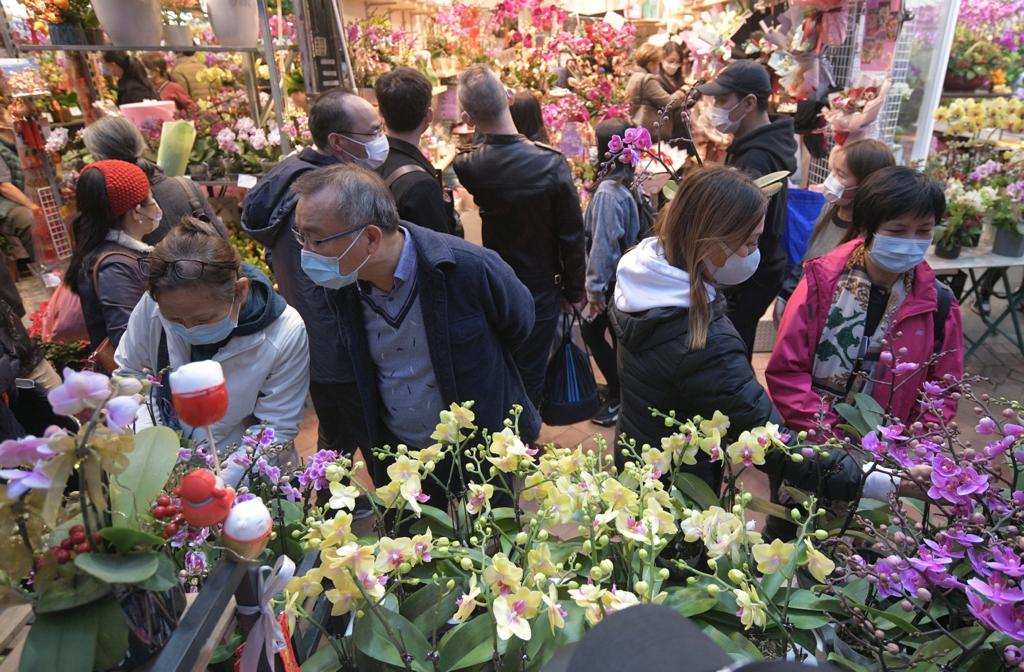 不少市民到旺角花墟選購心頭好。