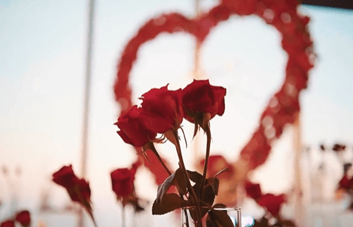大量玫瑰花的装饰设计令整个现场都充满著浪漫的气息。网上图片