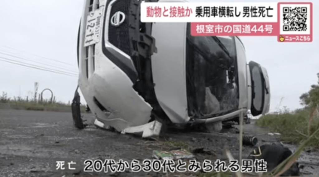 警方事后在涉事车辆上发现疑似棕熊的毛发，怀疑车辆在高速行驶期间撞击野生棕熊肇事。