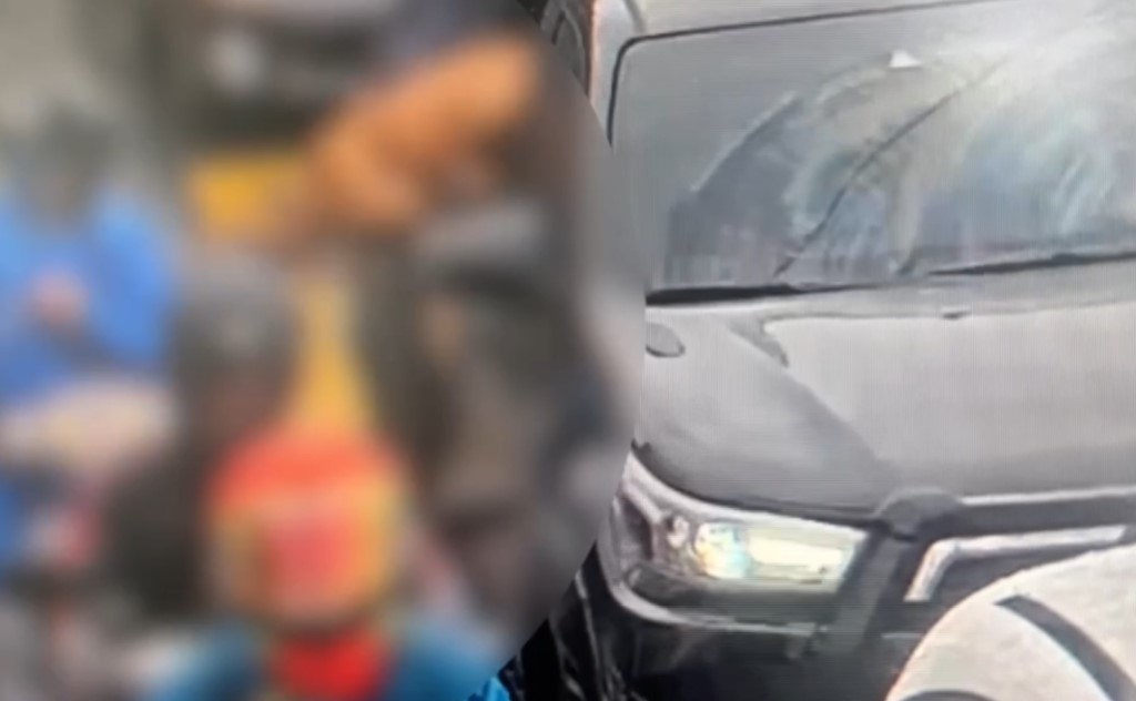 同一只比特犬昨日再次跳车行凶。中时