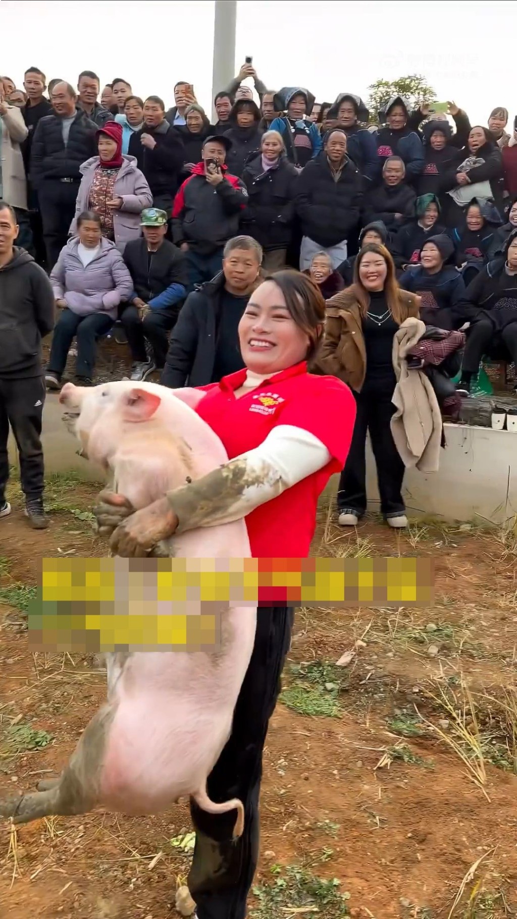 文鳳琴因頻頻抓豬成功而成為網紅。微博@《中國婦女報》 文鳳琴因頻頻抓豬成功而成為網紅。微博@《中國婦女報》