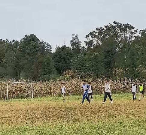 歐陽謙帶領學生用鋤頭在粟米田開出一個足球場。抖音＠阿里公益