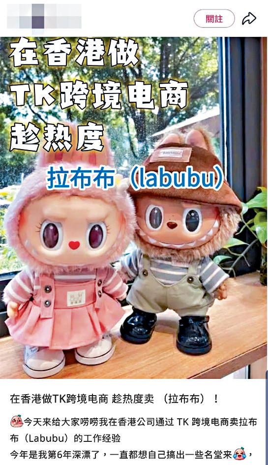 有人在「小紅書」宣傳銷售拉布布公仔的跨境電商生意,疑哄騙他人墮入刷單賺佣騙局。