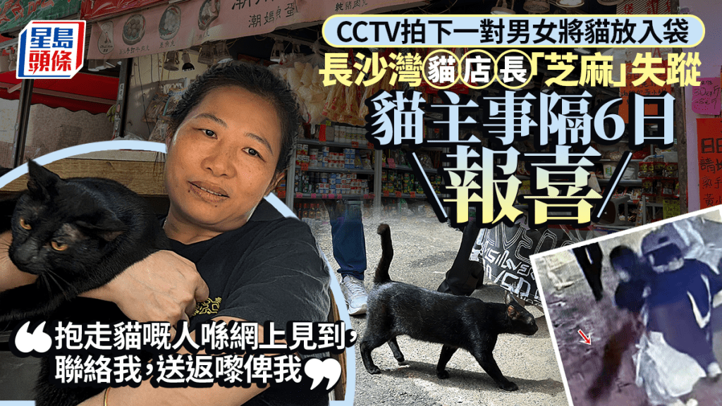 長沙灣貓店長「芝麻」上周五被偷  貓主：已尋回