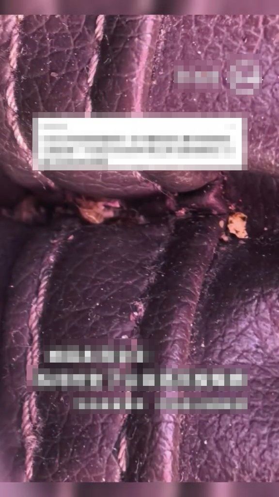 陈女士发现按摩椅下有无数虫在爬。《羊城晚报》 陈女士发现按摩椅下有无数虫在爬。《羊城晚报》