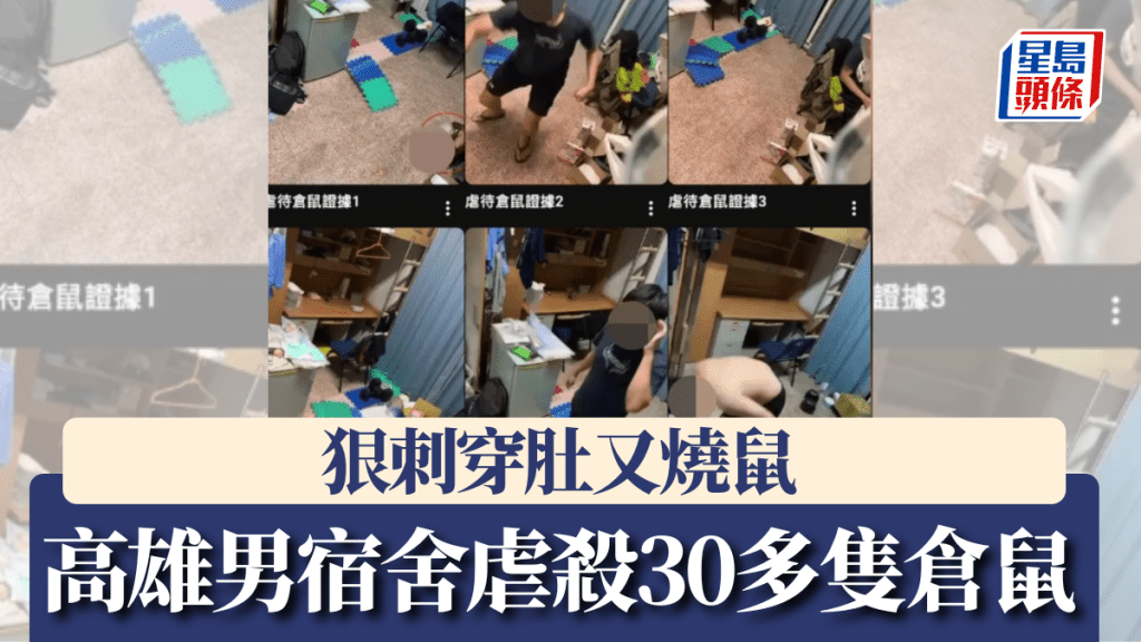 高雄男宿舍虐殺30多隻倉鼠　狠刺穿肚又燒鼠。Youtube
