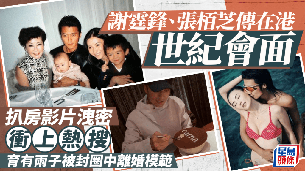 謝霆鋒、張栢芝傳在港世紀會面  扒房影片洩密衝上熱搜  育有兩子被封圈中離婚模範