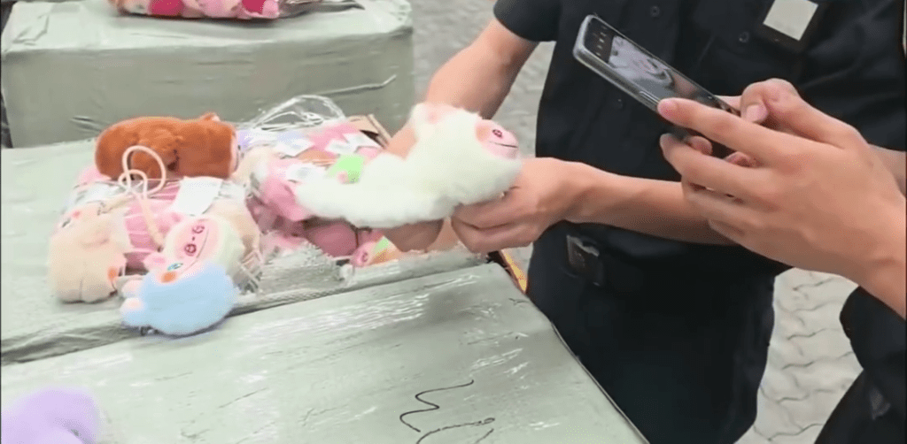 寧波海關正在取證。 寧波海關正在取證。