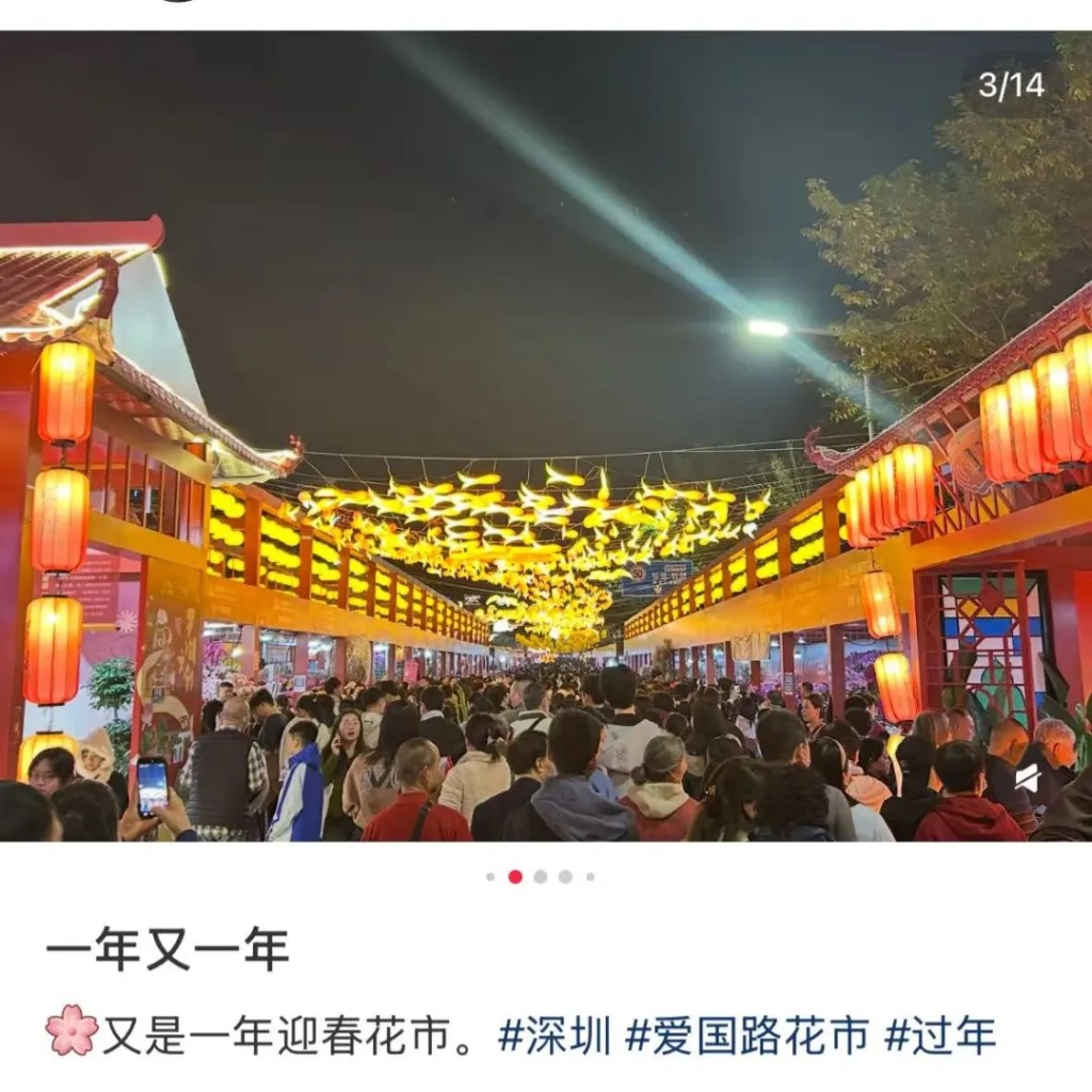 深圳愛國路迎春花市開幕，網民發帖。微信@深圳大件事
