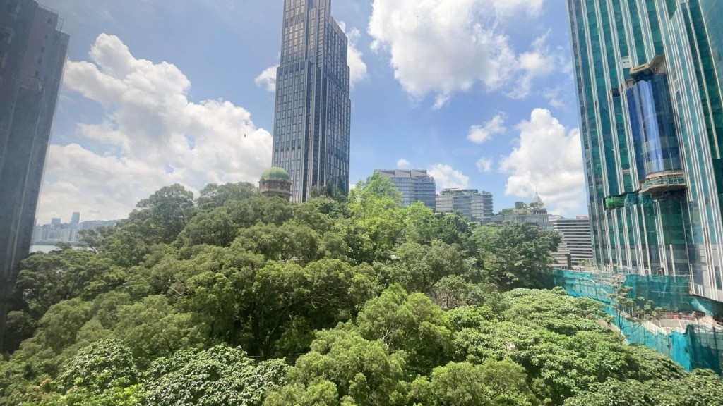 厅房向正南，望区内公园绿树景。