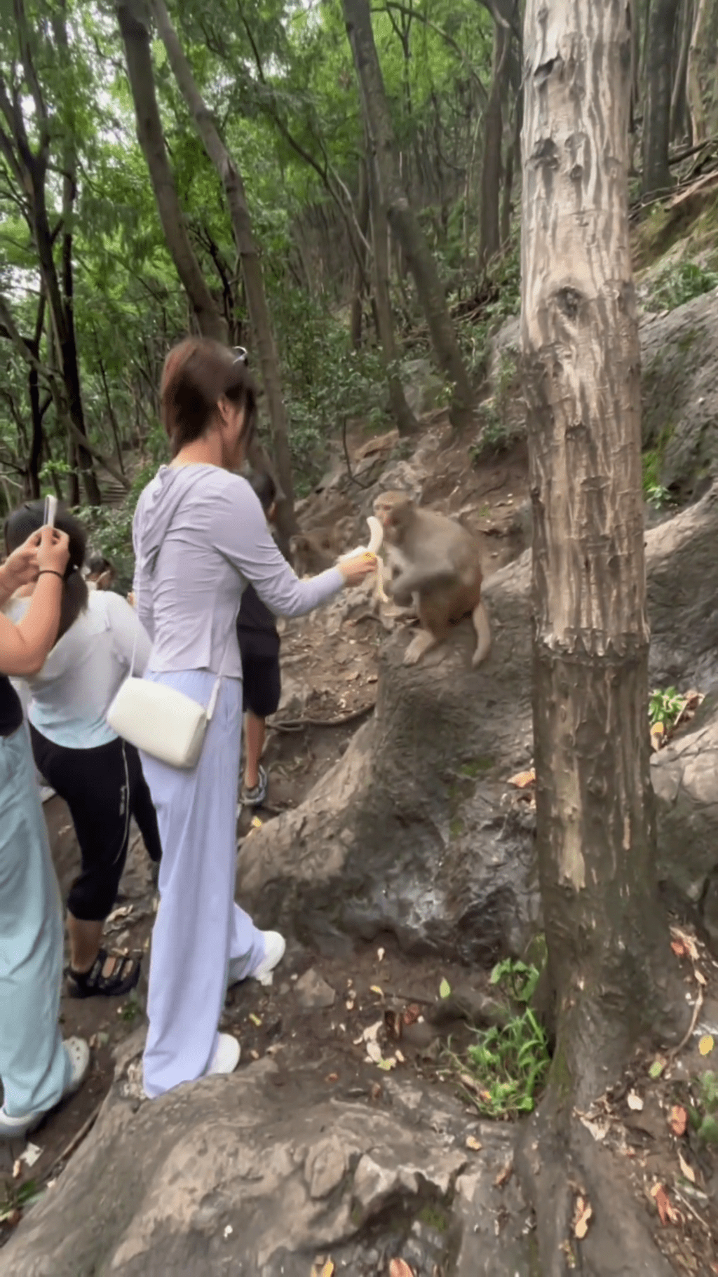猴子轉身一面不滿。