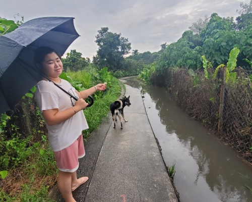 曾小姐指雨水曾經灌入屋。