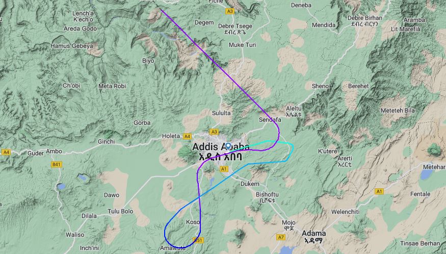 事發當日航班降落路線。Flightradar24截圖