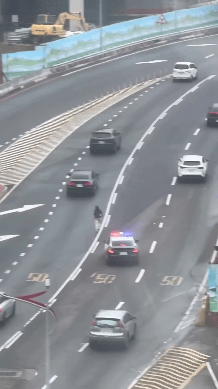 港女桃園機場迷路，馬路中心狂奔，警車發現從後跟上。