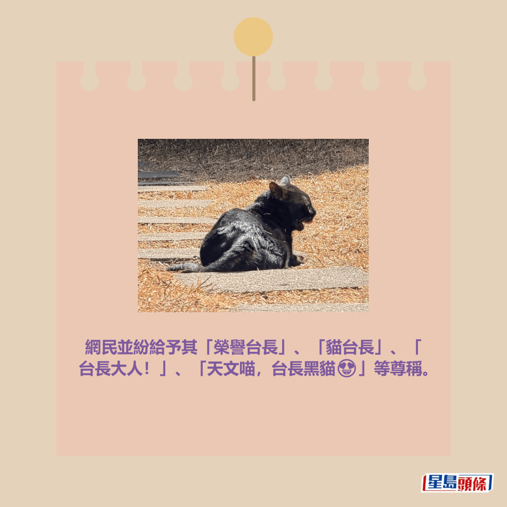 facebook截圖（資料來源：香港天文台 HKO facebook專頁）