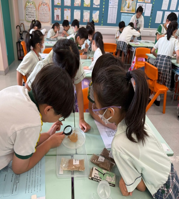 學生用放大鏡觀察不同土壤的顆粒大小。(圖片來源:受訪學校提供) 學生用放大鏡觀察不同土壤的顆粒大小。(圖片來源:受訪學校提供)