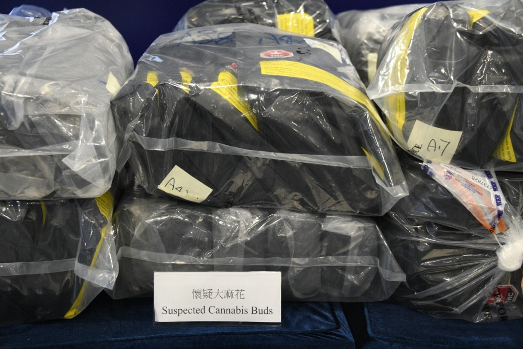 行動中檢獲160包共重91公斤大麻花，收藏在一箱箱急凍魚類貨物內。楊偉亨攝 
