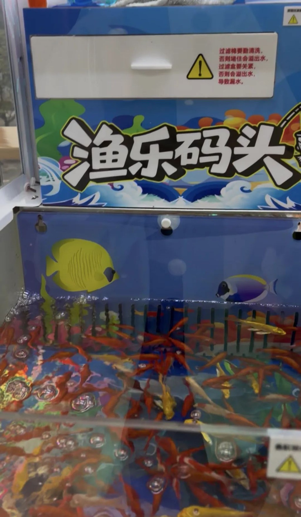 玩家可投幣試從金魚箱撈金魚。 玩家可投幣試從金魚箱撈金魚。