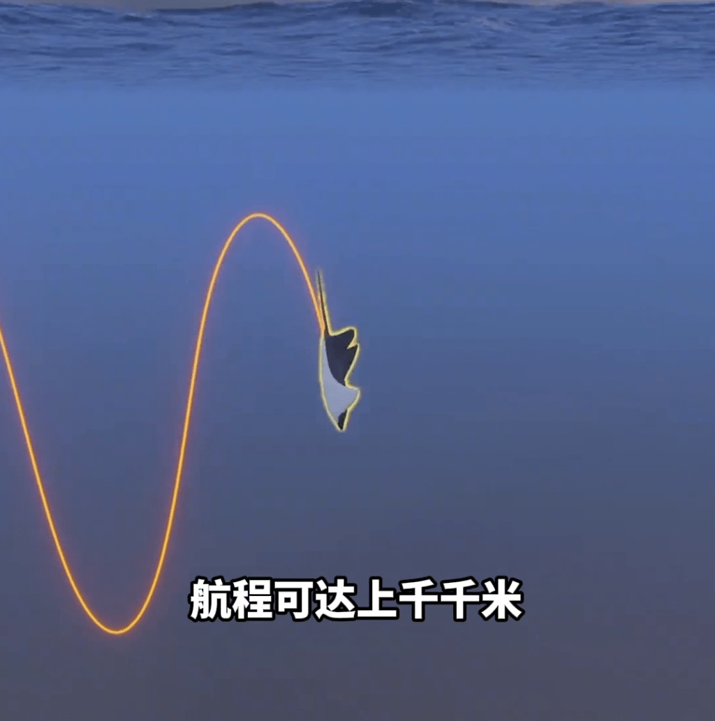 「魔鬼魚」通過調節浮力在海中滑行時,航程可達上千千米。 「魔鬼魚」通過調節浮力在海中滑行時,航程可達上千千米。