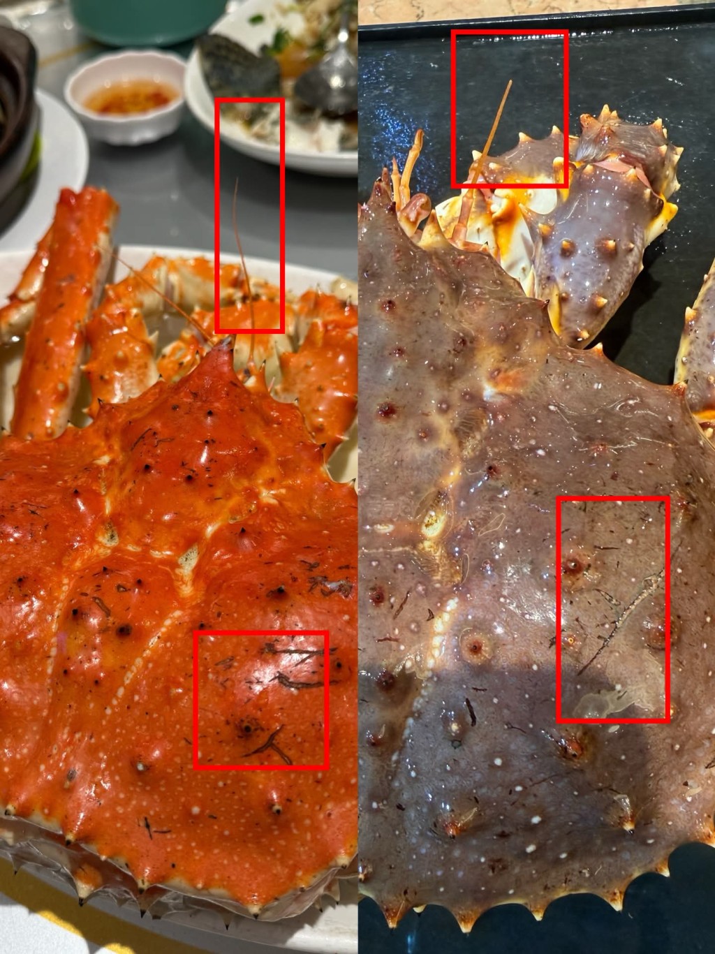 對於食客的2點換蟹質疑,海港飲食集團發言人逐一回應,指出是清洗及蒸熟後所帶來的改變。 對於食客的2點換蟹質疑,海港飲食集團發言人逐一回應,指出是清洗及蒸熟後所帶來的改變。