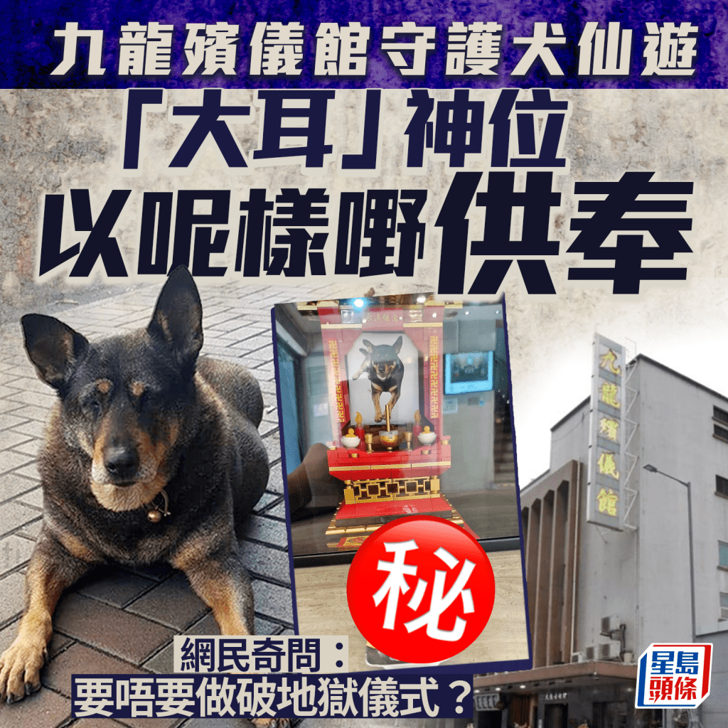 九龍殯儀館守護犬仙遊 「大耳」神位以呢樣嘢供奉 網民：要唔要破地獄？