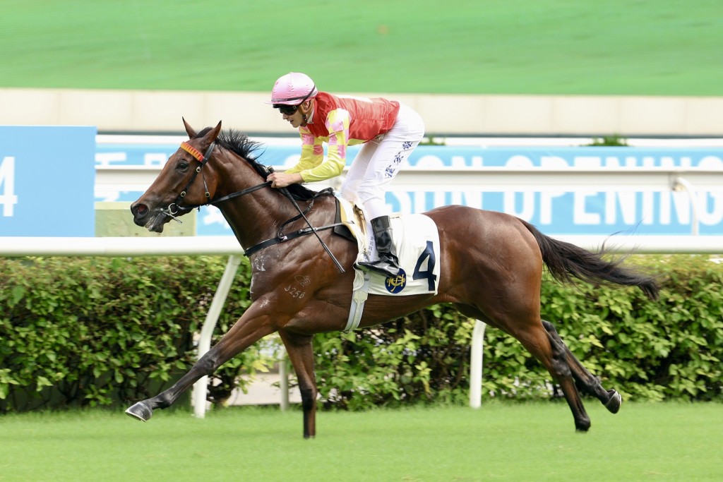 第九場廖廄新勝馬「祝願」力爭連捷，此馬在港三戰一冠一亞一第五名，全部有獎金收，表現忠心準繩。