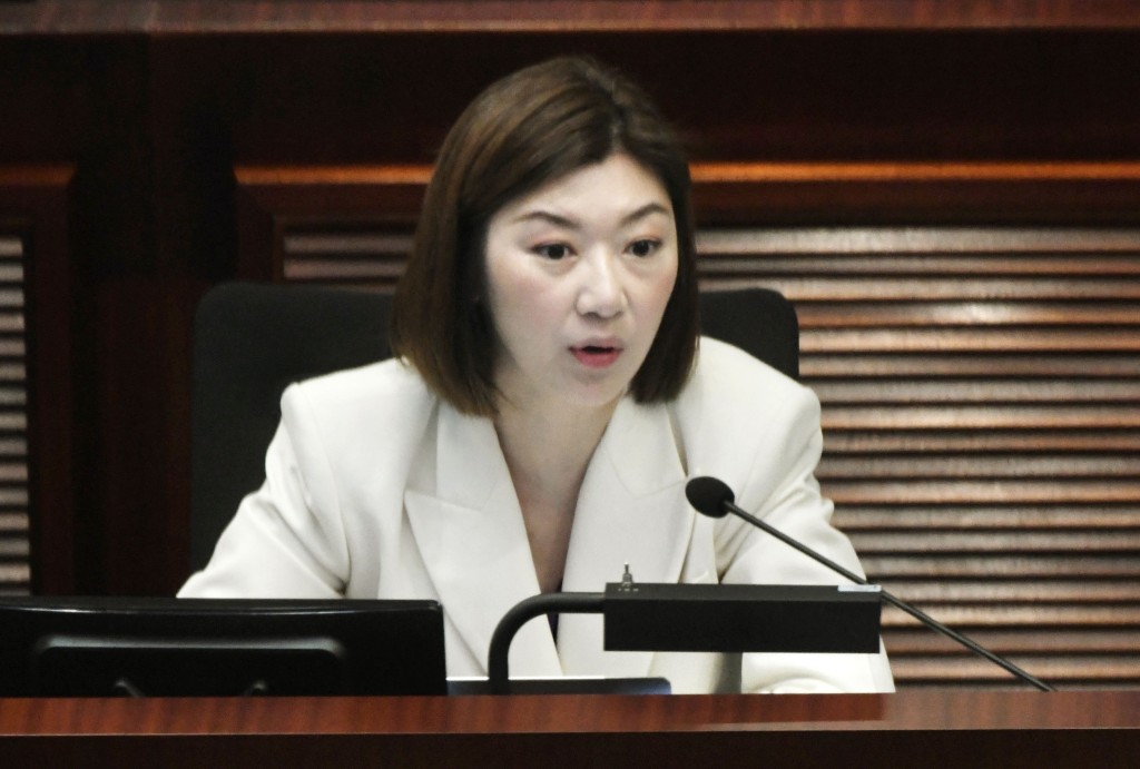 新民黨容海恩表示,質疑現時外判的成效是否合適。資料圖片 新民黨容海恩表示,質疑現時外判的成效是否合適。資料圖片