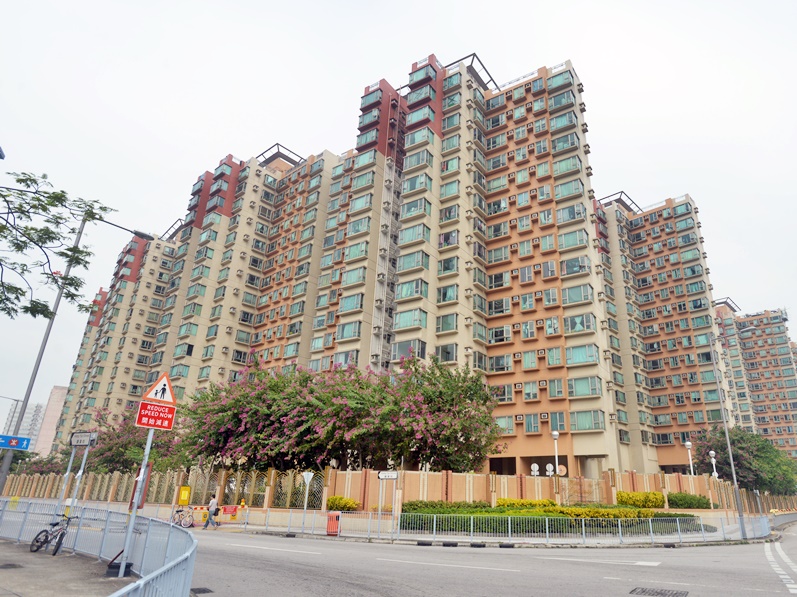 采葉庭。資料圖片