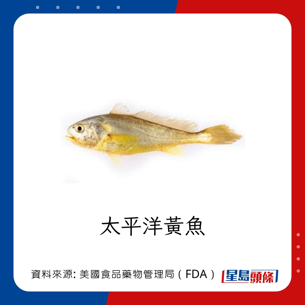 魚類水銀｜水銀含量中等的魚類：太平洋黃魚