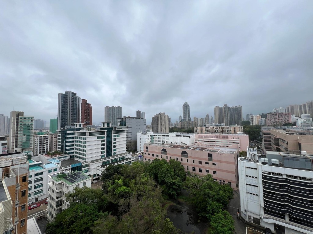 單位視野開闊，享市景及翠綠樹景。