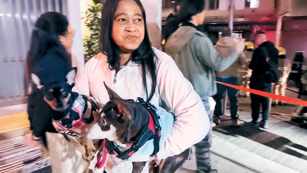 何文田艳马道兽医诊所失火，住户抱爱犬疏散。