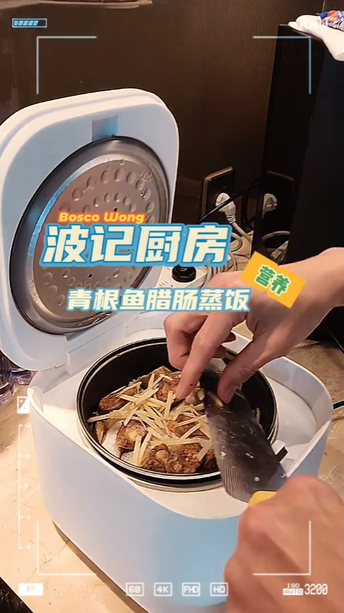 最令網民有興趣的，似乎是黃宗澤日前用來整蒸飯的電飯煲。