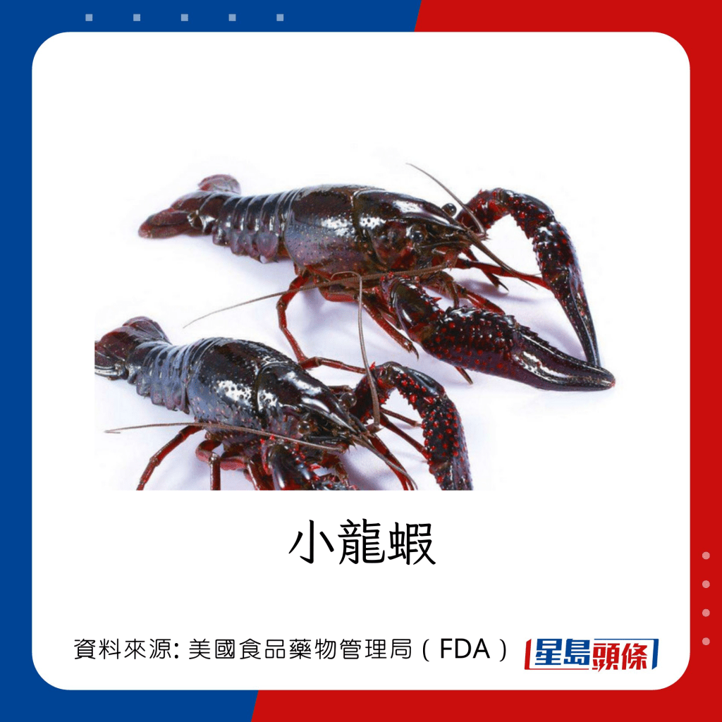 低水銀魚類/海鮮