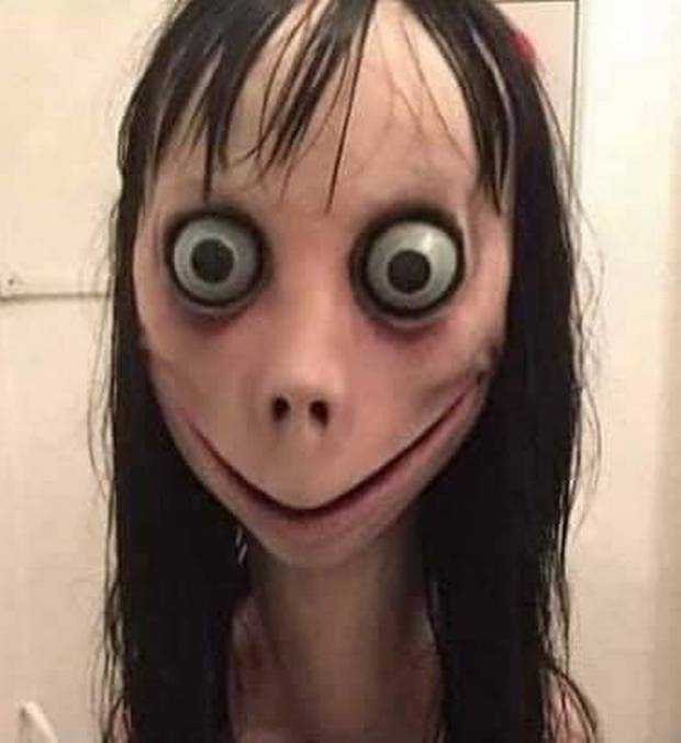 網圖
