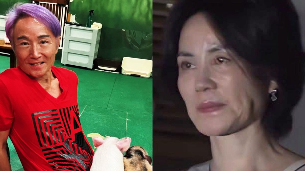 周啟生貼天后王菲顯老零濾鏡照問「邊個」  網民炮轟冇品：周生自己有冇照鏡？