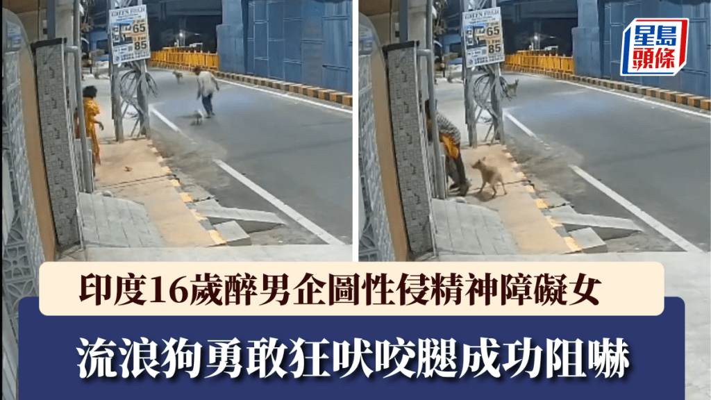 印度流浪狗深夜護「街坊」，阻16歲醉男性侵精神障礙女。
