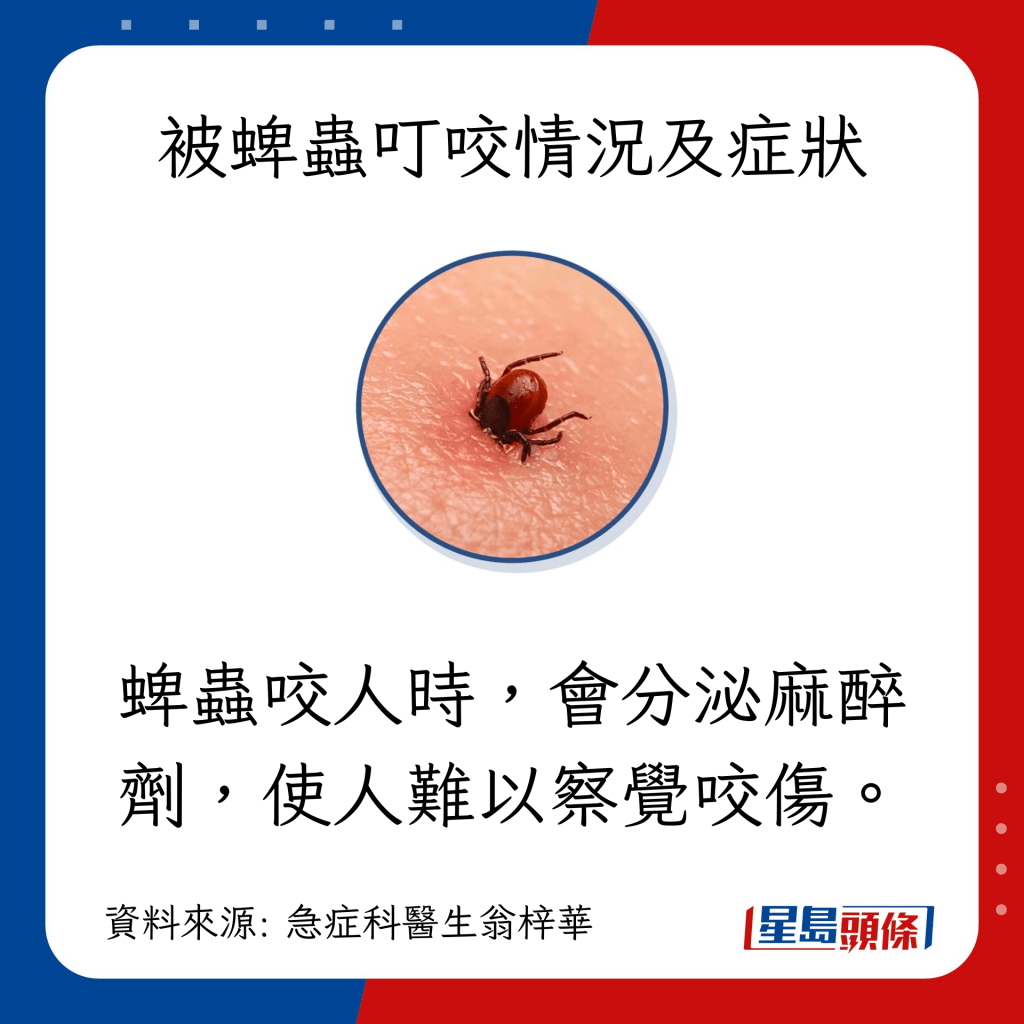 蜱虫咬人时，会分泌麻醉剂，使人难以察觉咬伤。
