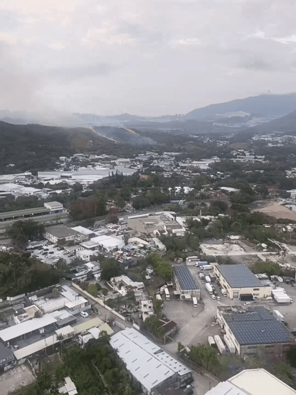 現場為粉嶺坪輋一山頭。FB：PrettyDolphin5991@北區之友