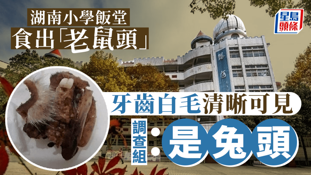 調查組指,涉事異物為兔頭唇部。網絡圖片