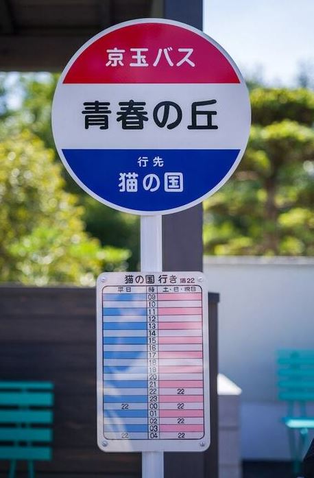 日本自由行｜名古屋吉卜力公园开幕  3大园区最正打卡位