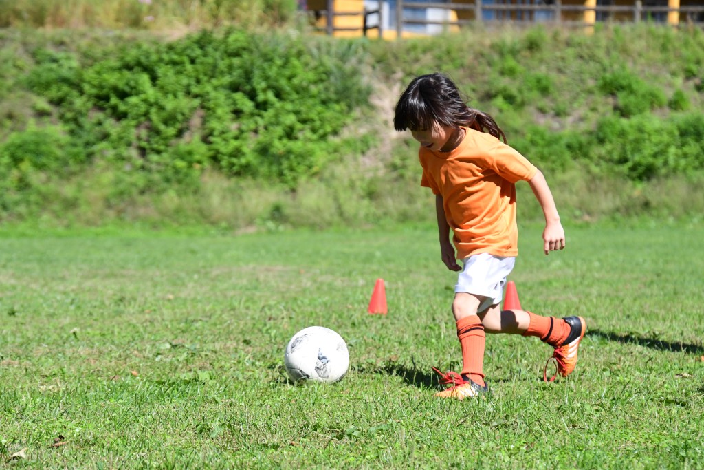 (资料图片/图片来源:PhotoAC) (资料图片/图片来源:PhotoAC)